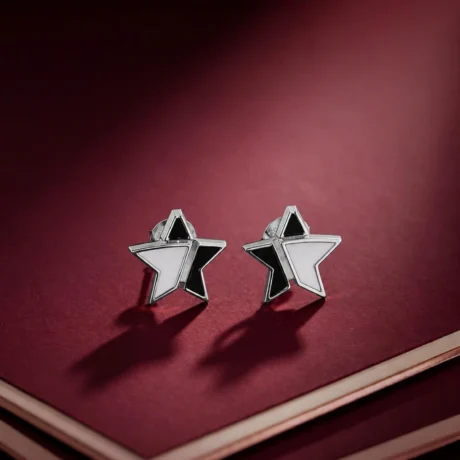 Black & White Star Stud Earrings